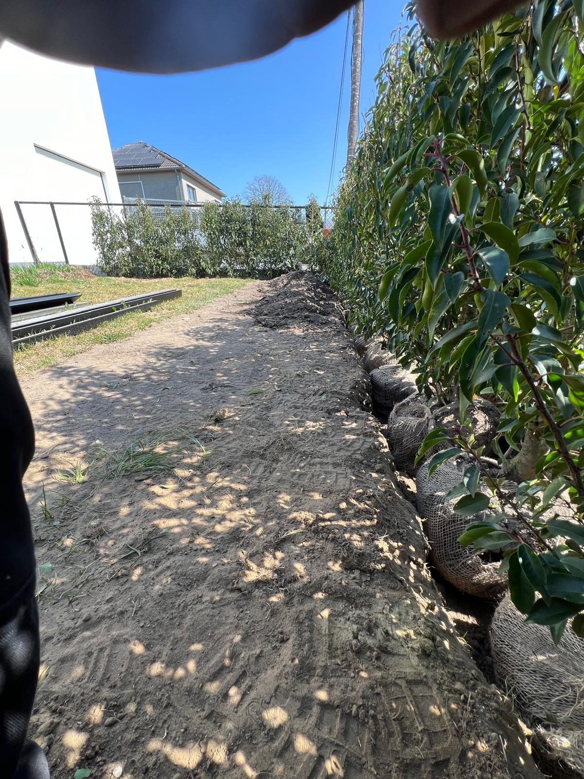 Gazons - Complete tuinen